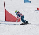 Кубок мира по сноуборду предложили провести на Сахалине