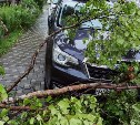 Половина дерева упала на кроссовер в Южно-Сахалинске
