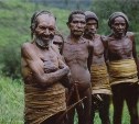 МИД напоминает сахалинцам о возможности поездок в Вануату