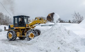 Общество