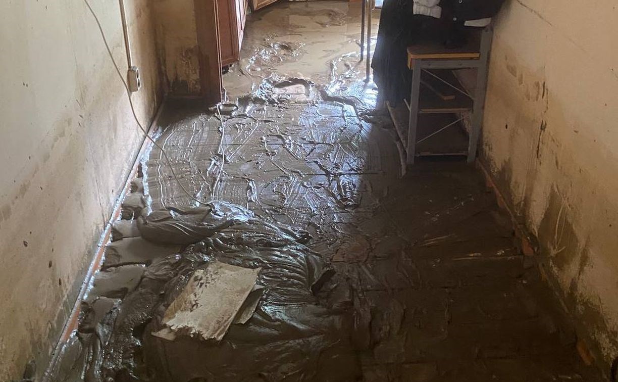 Дом отца-одиночки в Невельском районе утонул в грязи
