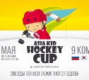 На Сахалине впервые стартует международный детский кубок Азии по хоккею 