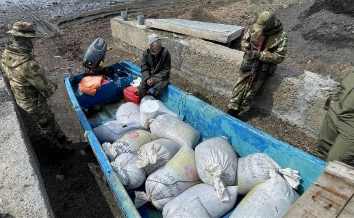 Четверо сахалинцев незаконно добыли в озере Буссе трепангов на 6 миллионов рублей Четверо сахалинцев незаконно добыли в озере Буссе трепангов на 6 миллионов рублей