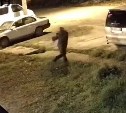 Подозрительный мужчина разбил автомобиль и затопил подъезд в Южно-Сахалинске