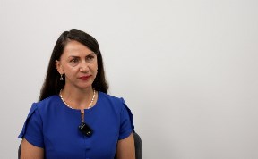 Общество