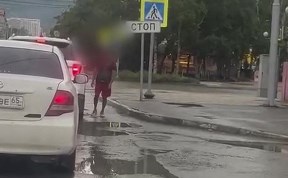 Общество