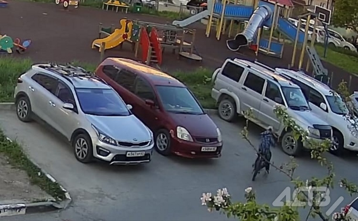 Госавтоинспекция Южно-Сахалинска ищет велосипедиста, врезавшегося в автомобиль