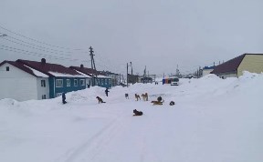 Происшествия