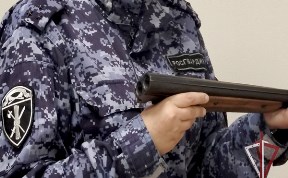 Происшествия