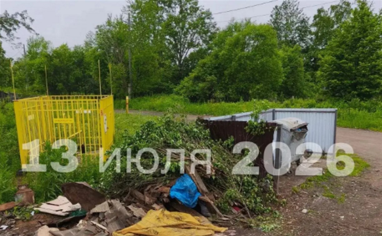 Свалку в Леонидово убрали, но мусор снова принесли на то же место