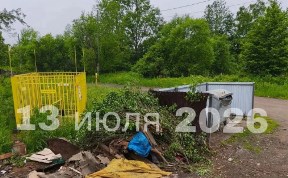 Общество