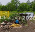 Свалку в Леонидово убрали, но мусор снова принесли на то же место