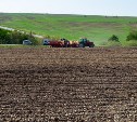 Больше тысячи гектаров земли сахалинские аграрии засеяли картофелем