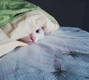 Старорусское оставили без воды, а два дома в Южно-Сахалинске - без тепла