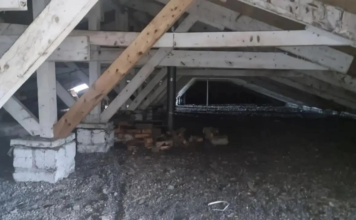 В доме в Краснополье нашли причину плесени: вентиляционная шахта оказалась завалена мусором