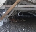 В доме в Краснополье нашли причину плесени: вентиляционная шахта оказалась завалена мусором