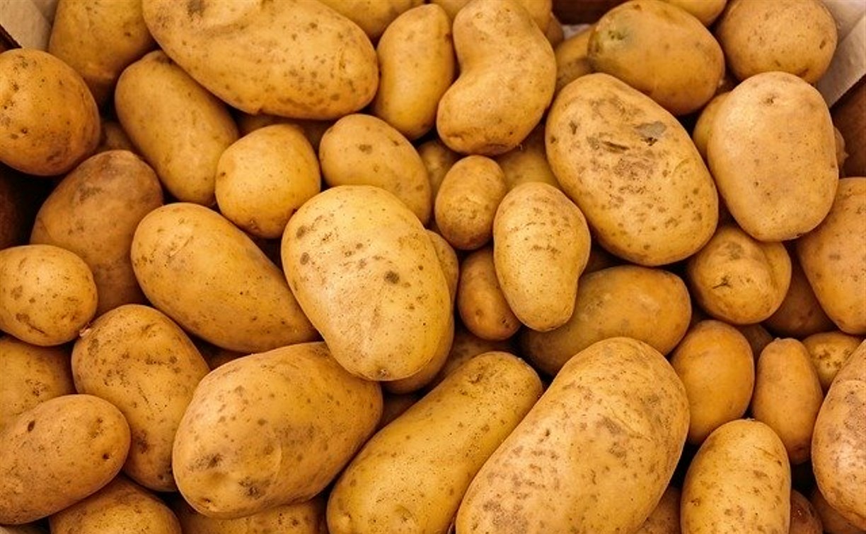 Минсельхоз рассказал, почему в Сахалинской области дорогой картофель