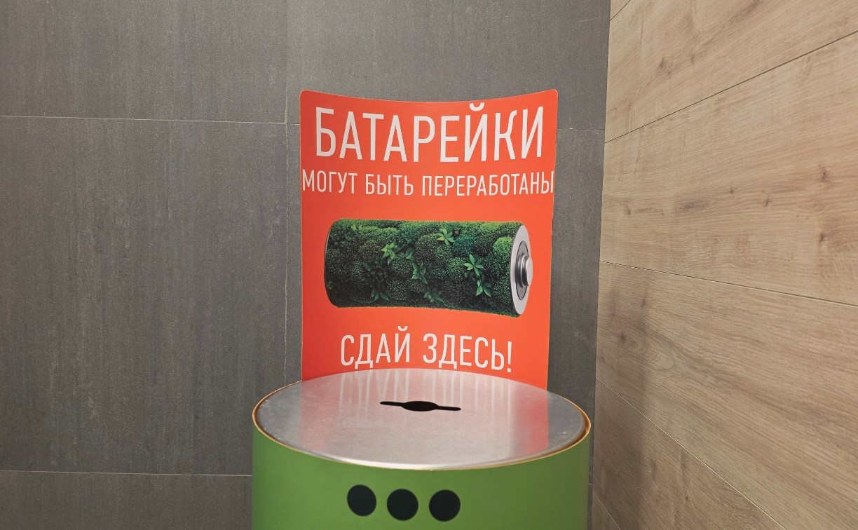 Законодательство запрещает, природа страдает: сахалинцам напомнили правила утилизации опасных отходов