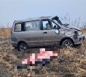 На Сахалине в ДТП погиб 44-летний водитель Toyota Noah, ранее лишённый прав
