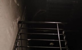 Происшествия