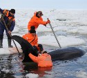 Сахалинский поисково-спасательный отряд отметил 24-летие