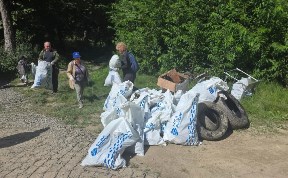 Общество