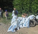 Свыше 100 южносахалинцев вышли на уборку Еланьки