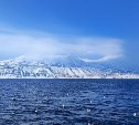 Генпрокуратура России признала нежелательной деятельность японской ассоциации по северным территориям