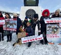 Митинг в поддержку защиты животных прошел в Южно-Сахалинске 