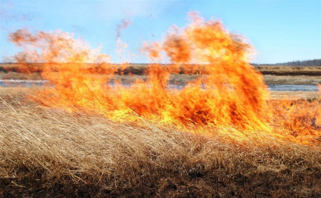 В Тымовском районе из-за возгорания сухой травы выгорело поле на площади 10 тысяч "квадратов"