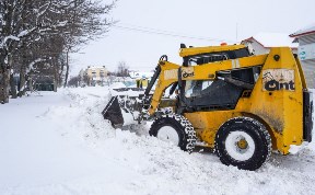 Общество