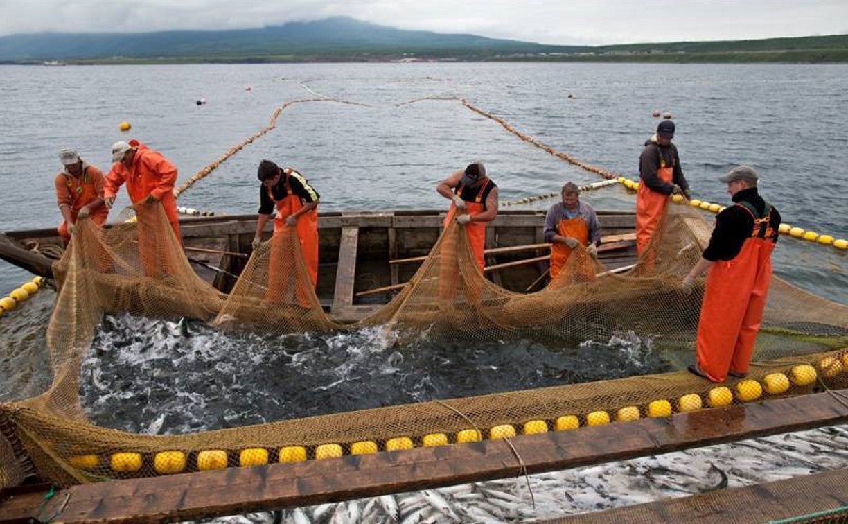 Сахалинцы отмечают День рыбака