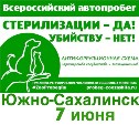 Акция в поддержку стерилизации бездомных животных пройдет на Сахалине