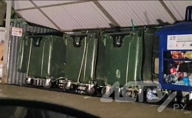Крысы, оккупировавшие мусорные контейнеры в Корсакове, перегрызли провода в автомобиле