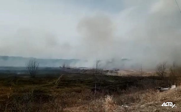 Поле горит в районе Троицкого