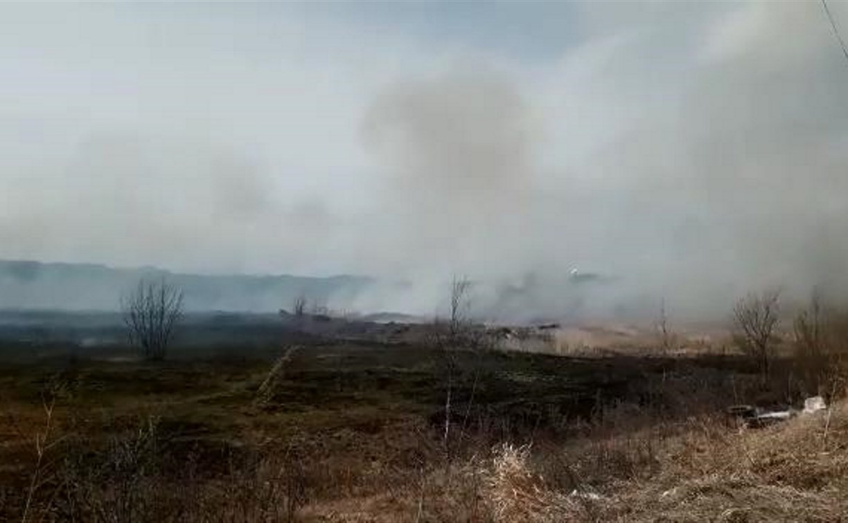 Поле горит в районе Троицкого