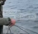 Прокуратура взялась за инциденты с изъятием рыболовных сетей: сахалинцы жалуются на "бородатых охранников"