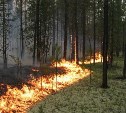 В Охинском районе горят 56 гектаров леса