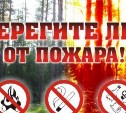 Высокая пожарная опасность прогнозируется на юге Сахалина