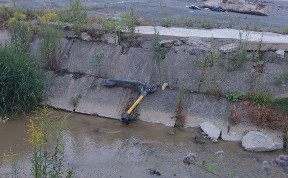 Общество