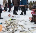 Рыболовные соревнования "Сахалинский лёд" состоятся, несмотря на пандемию