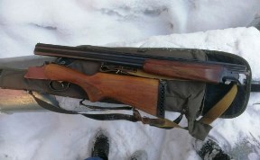 Происшествия