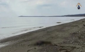 Общество