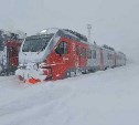 В Южно-Сахалинске 31 января дополнительно отменяют пригородные поезда