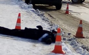 Происшествия