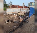 Жители Поронайска: местный РПЗ устроил свалку отходов возле жилых домов