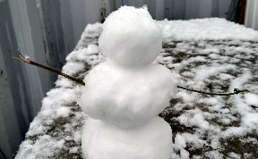 Общество