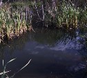 В Южно-Сахалинске предприниматель ненароком слил битум почти на 3 миллиона рублей ущерба