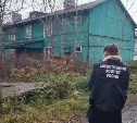 По факту нападения собак на девочку в Углегорске возбудили уголовное дело