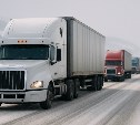 На пяти пунктах пропуска Дальнего Востока досмотр грузовиков хотят сократить до 10 минут